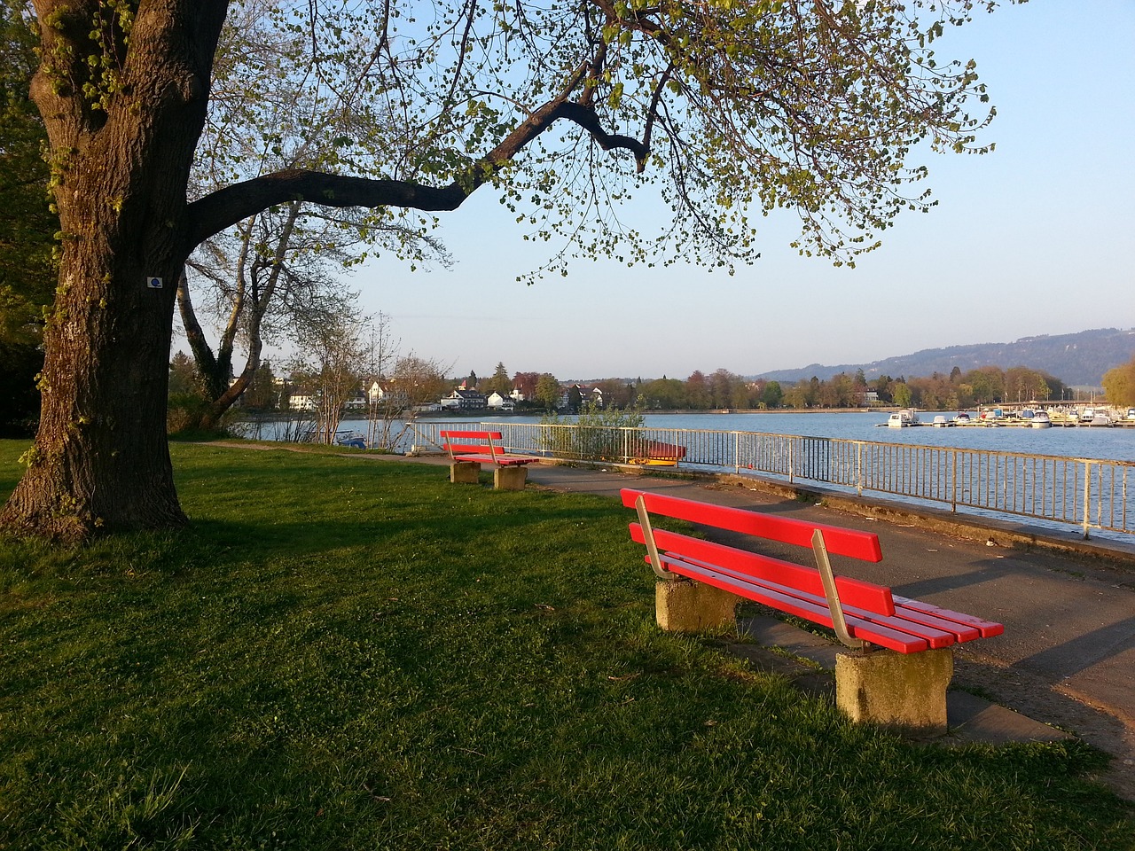 火箭可以将 火箭可以将