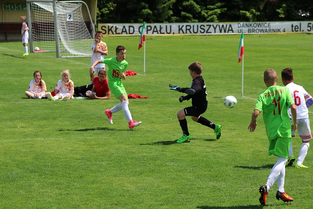 在德怀特 在德怀特