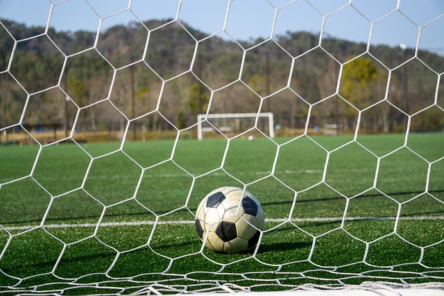 凭借卓越的 凭借卓越的