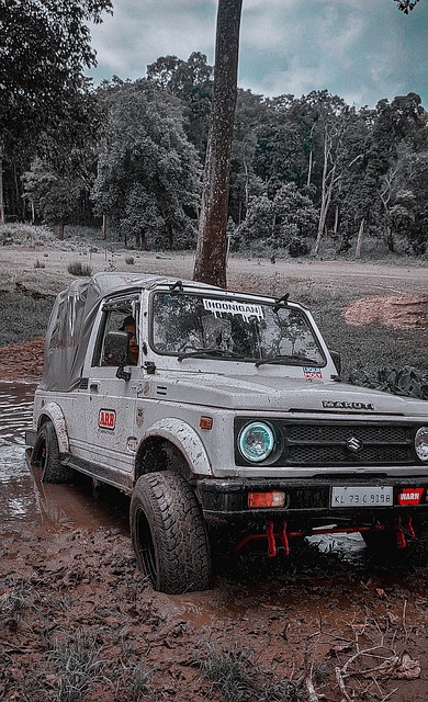 怒指裁判 怒指裁判