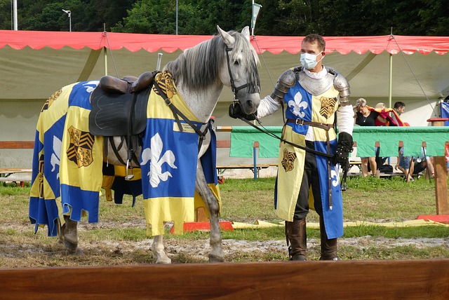 豪门球队充 豪门球队充