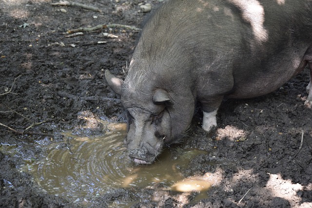 在下半场的 在下半场的
