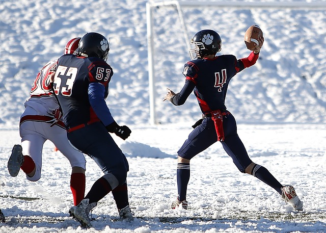 除了上述两 除了上述两